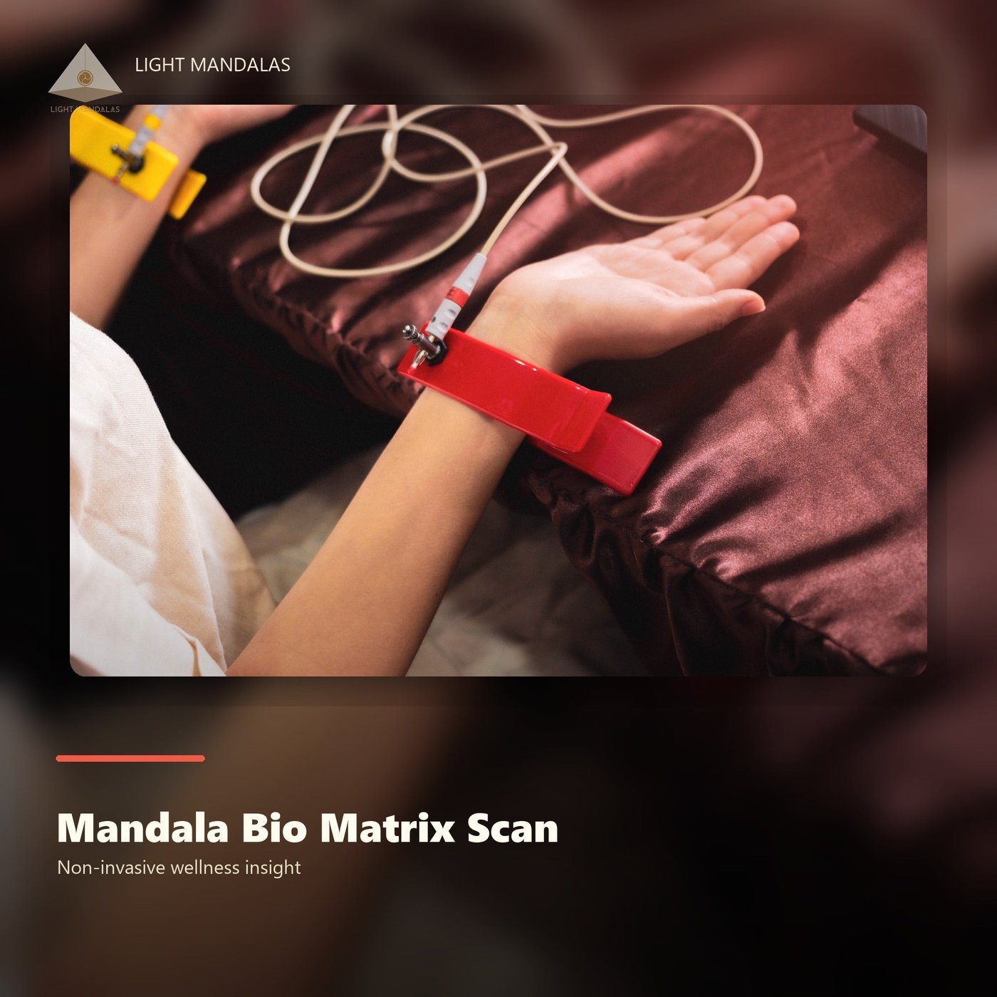 Biomatrix Scan — Light Mandalas ตัวจริง