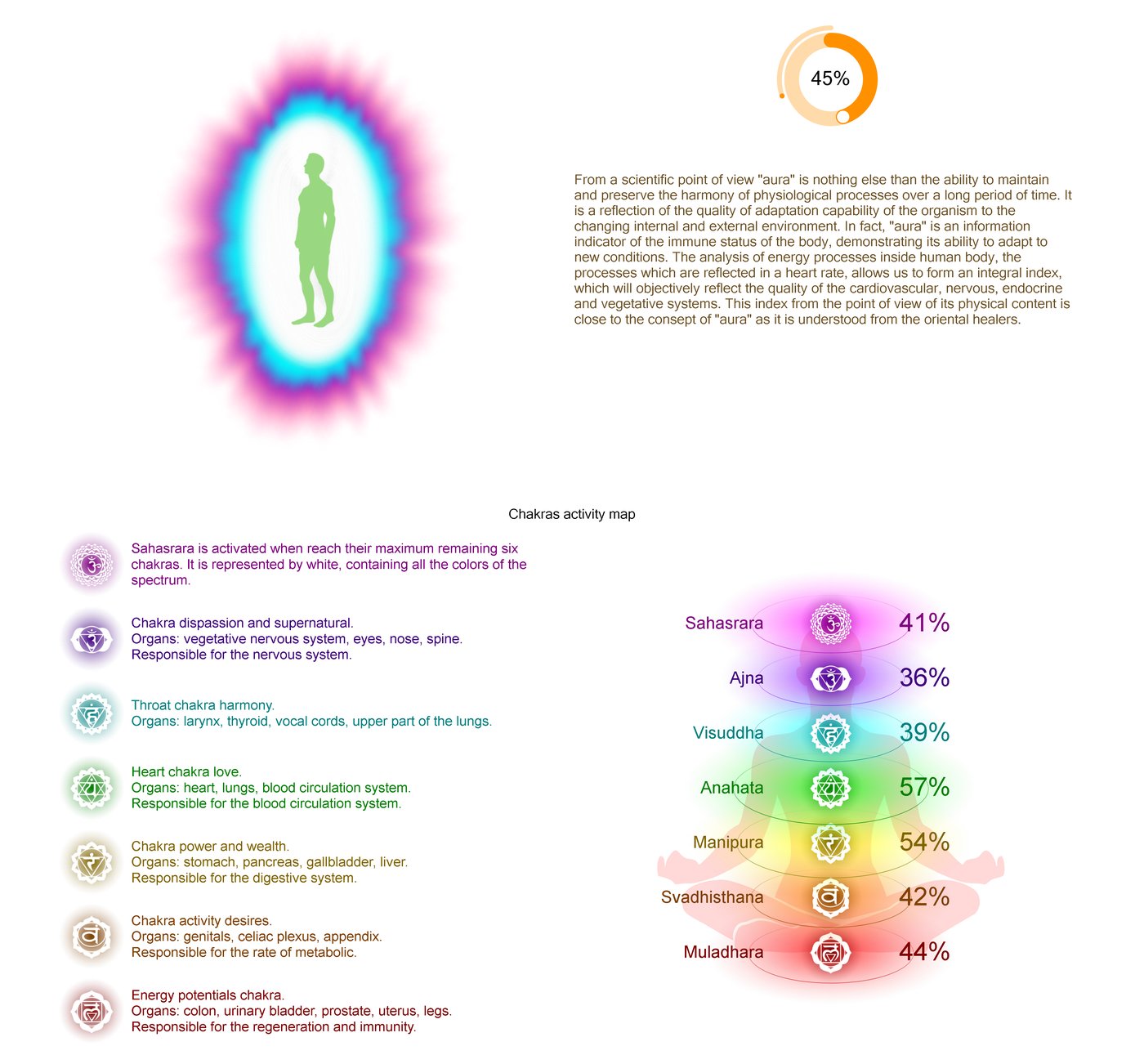 biomatrix-scan — ภาพจากผู้ผลิต Light Mandalas